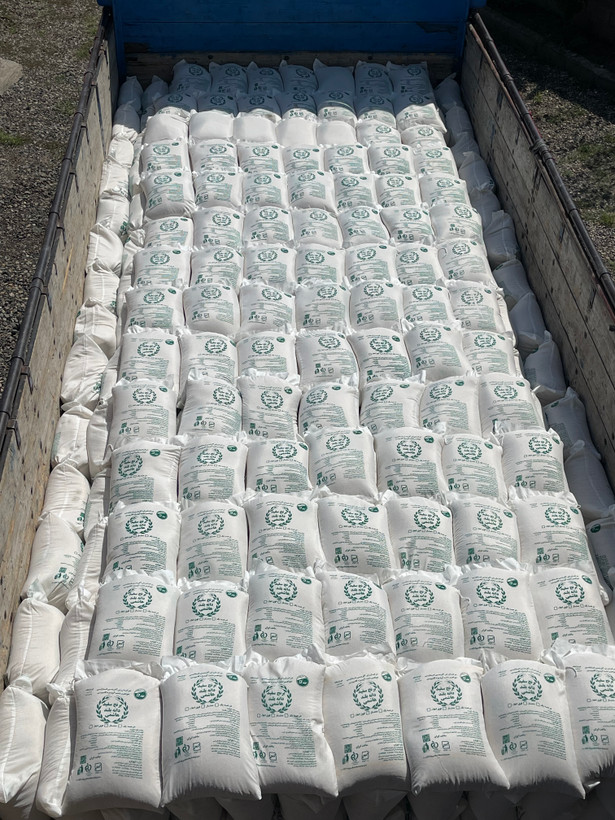 برنج هاشمی محلی گیلان مزرعه آویژه